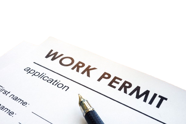application form for a work permit removebg preview